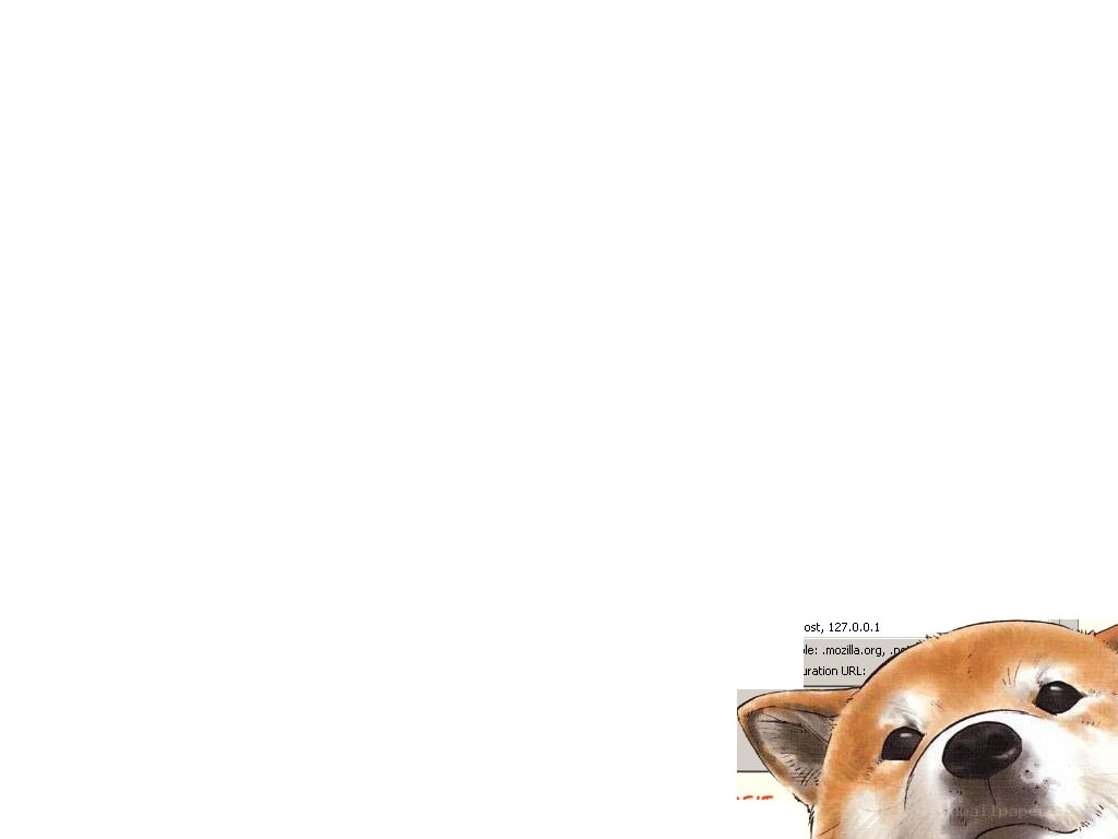 dog meme with text overlay