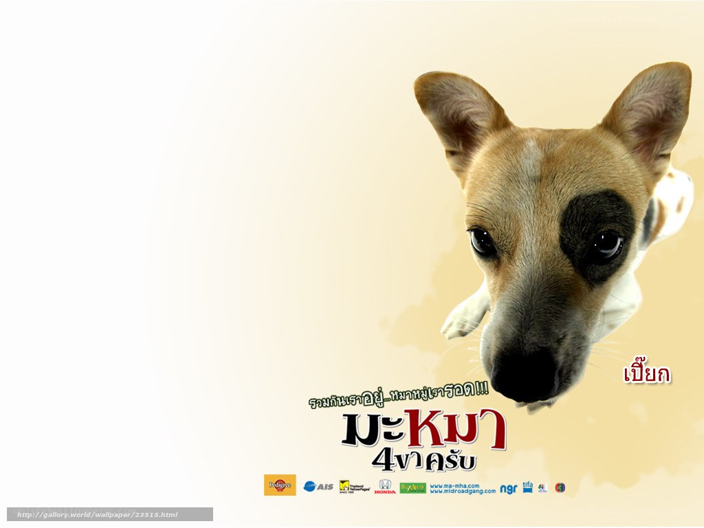dog movie poster wallpaper