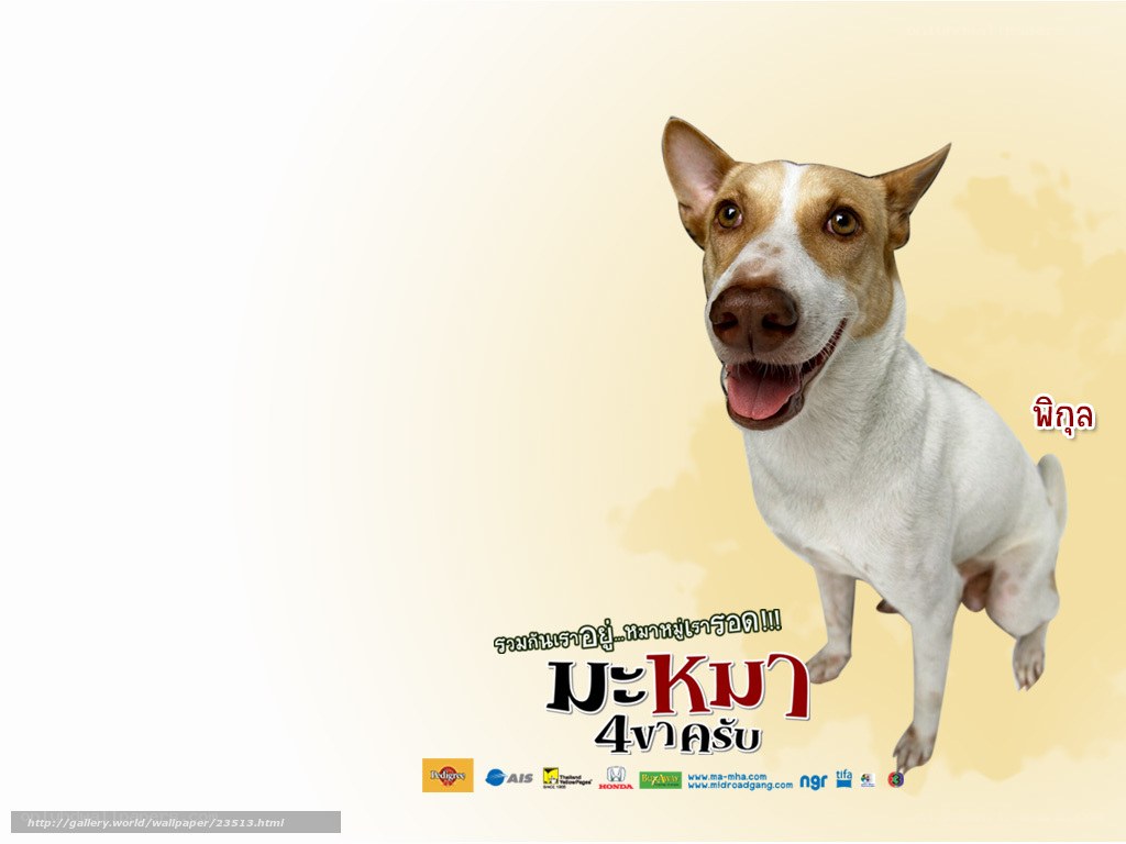 dog movie poster