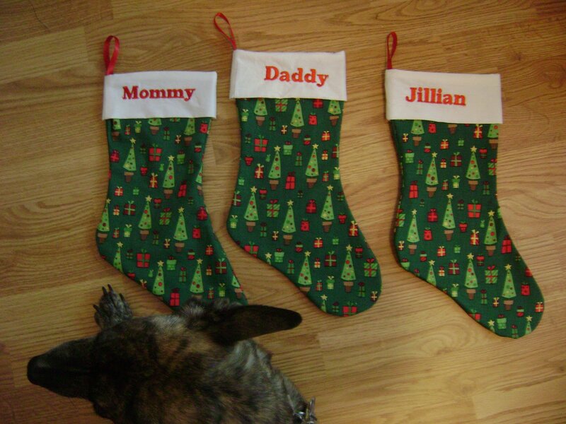 Dog Near Christmas Stockings