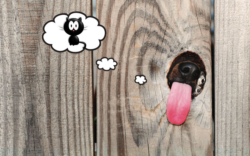 Dog Nose and Tongue