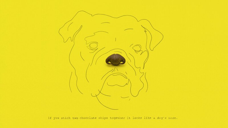 dog nose made of chocolate chips