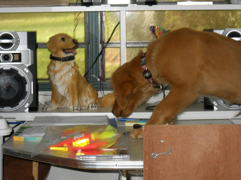 Dog on a desk with figurine