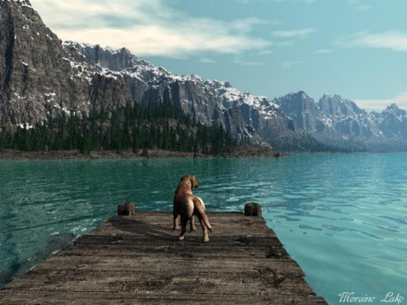 Dog on a Dock — Blue