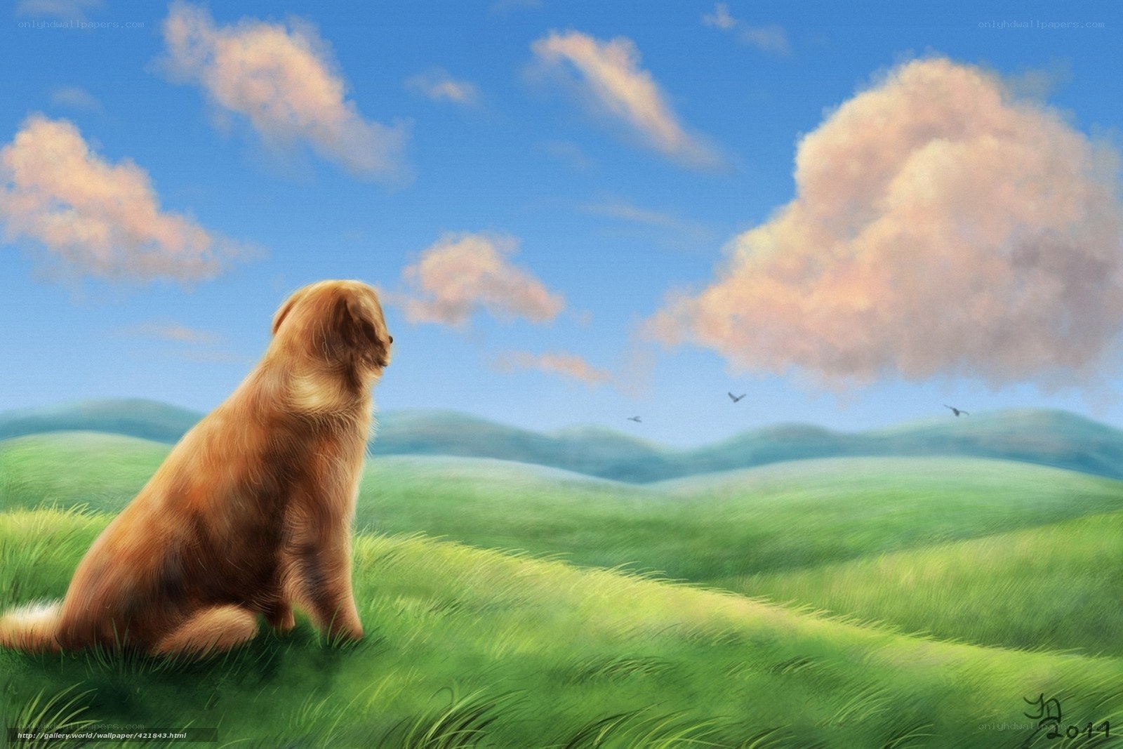 Dog on a grassy hill