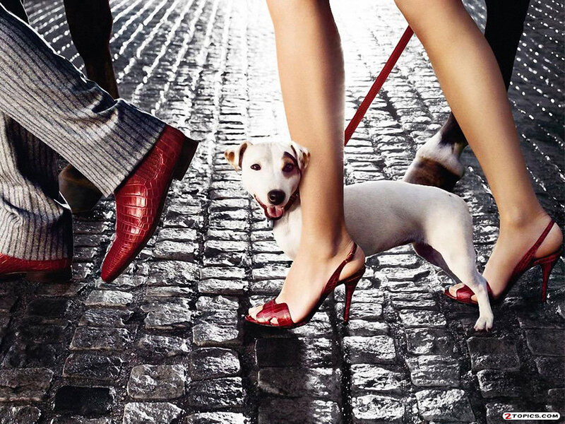 dog on a leash with people