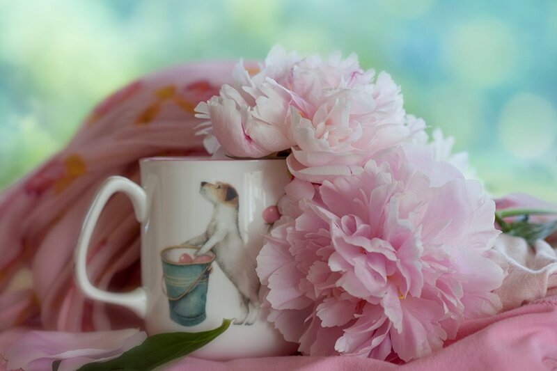Dog on a Mug