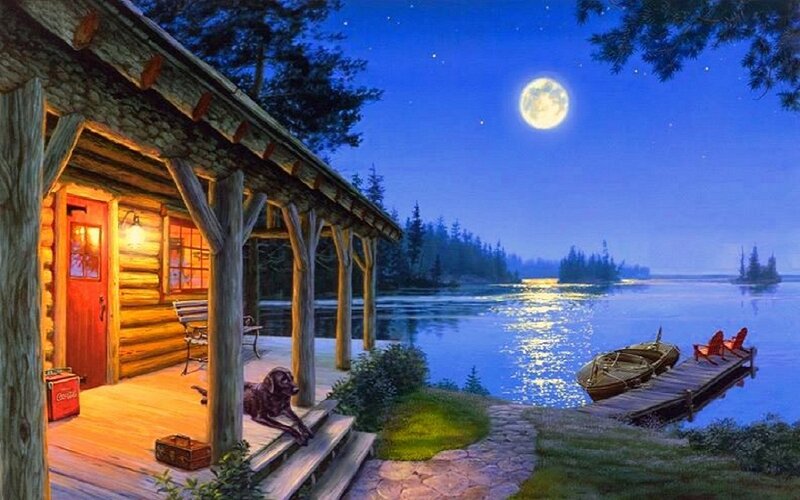 Dog on Cabin Porch