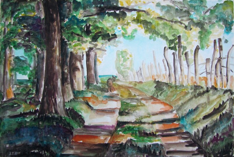 Dog on Forest Path — Green, Serene, Afternoon