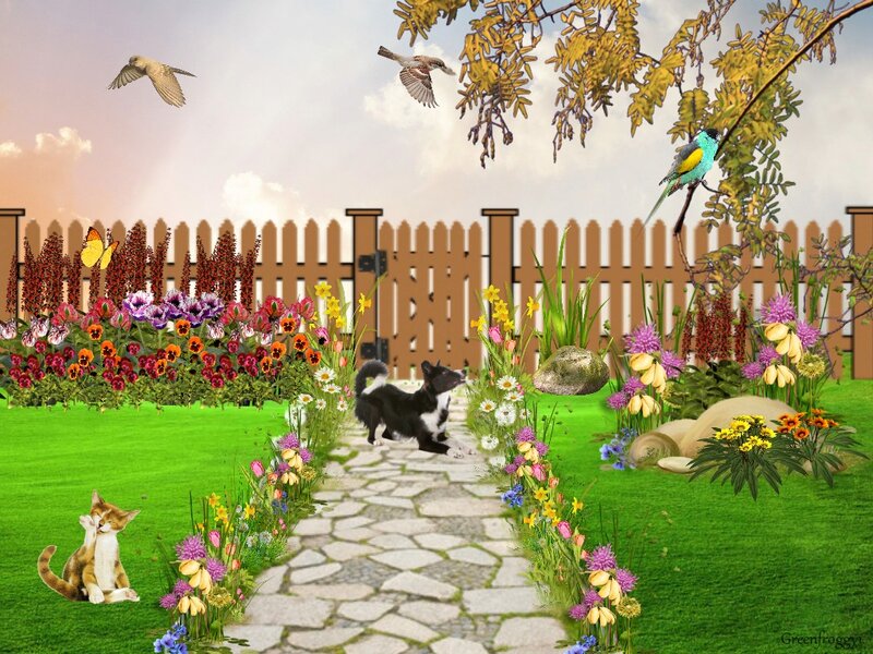 Dog on Garden Path