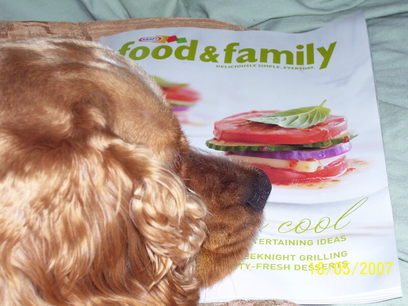 dog on magazine cover