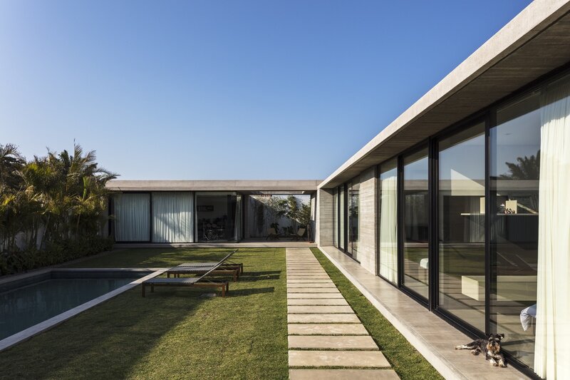 Dog on Patio — Green