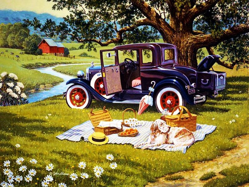 Dog on Picnic Blanket