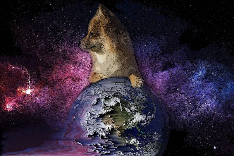 Dog on Planet Earth