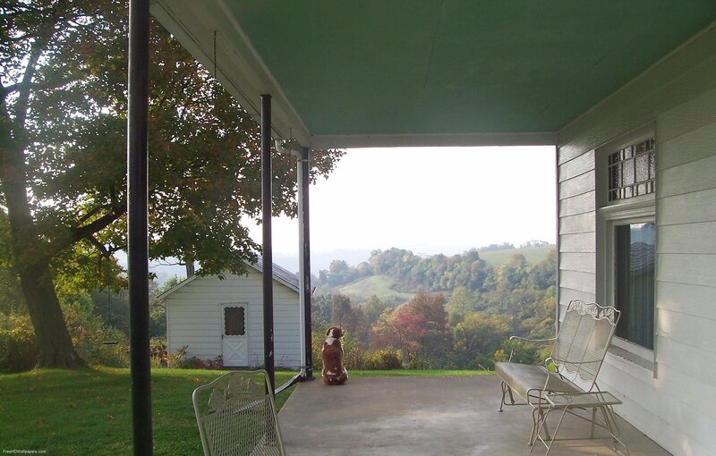 Dog on porch overlooking hills