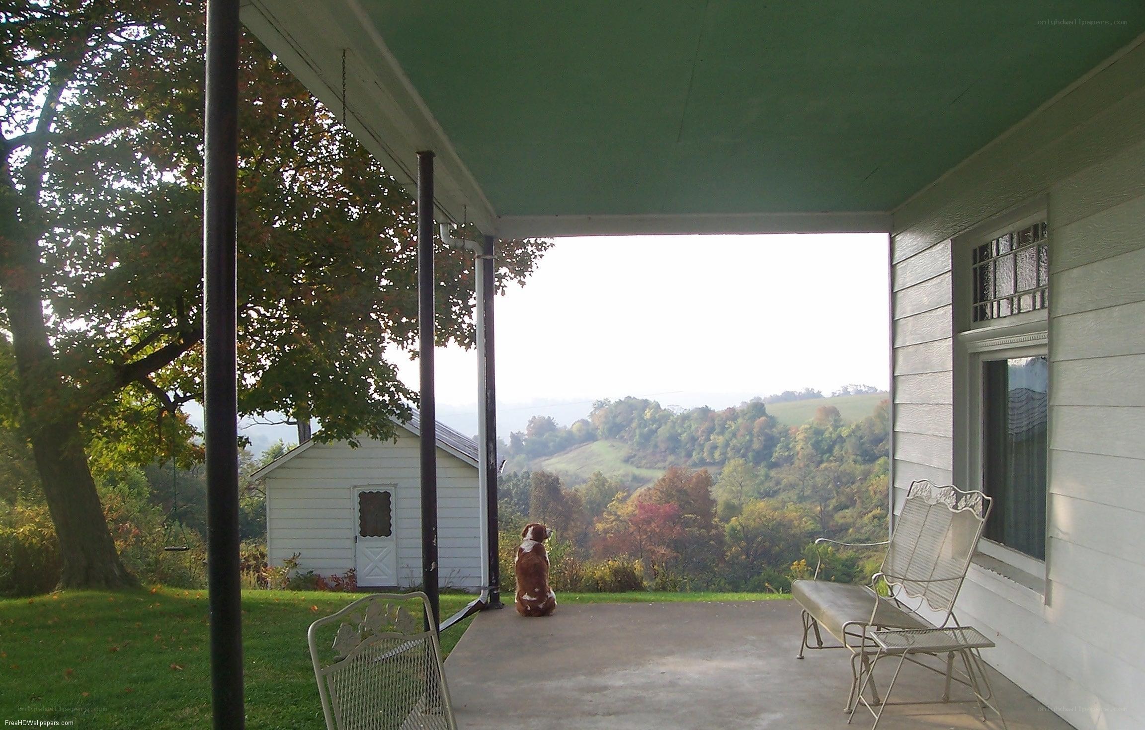 Dog on porch overlooking hills