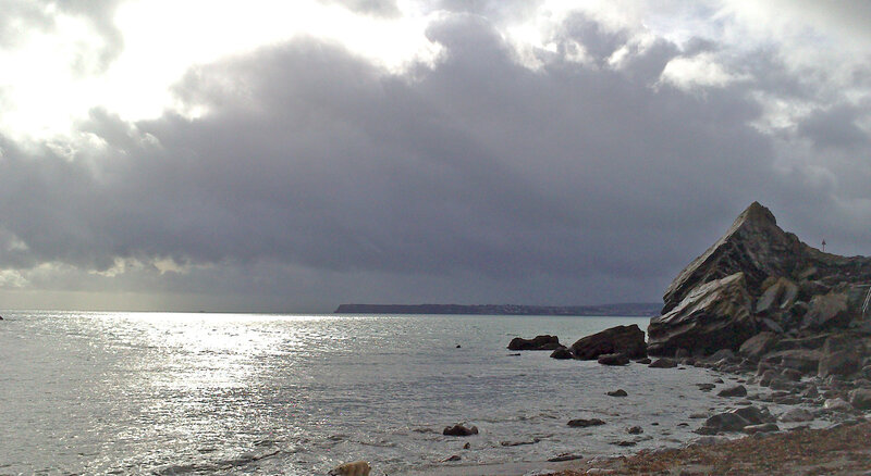 Dog on Rocky Beach