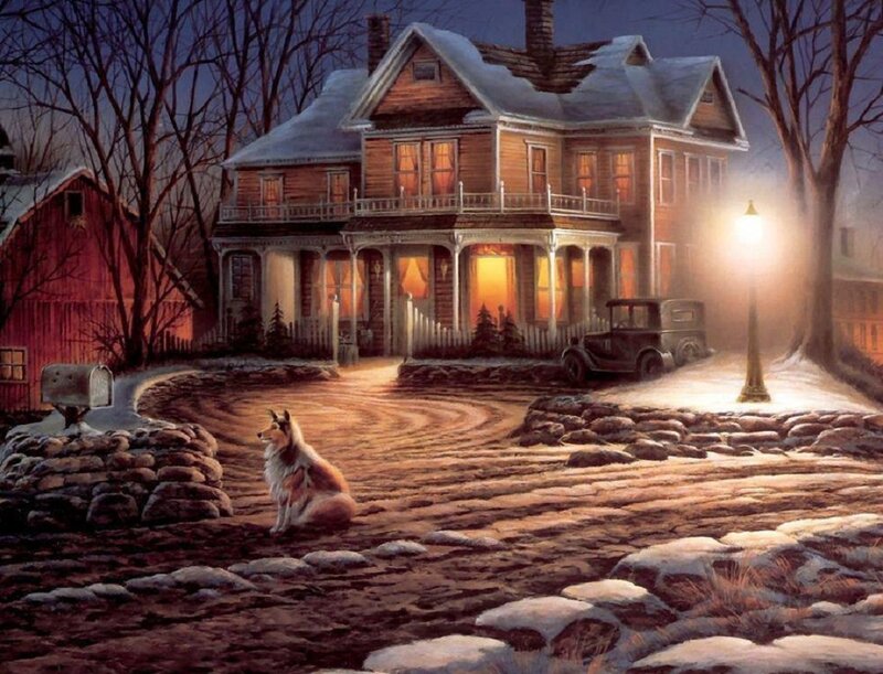 Dog on Snowy Path — Brown