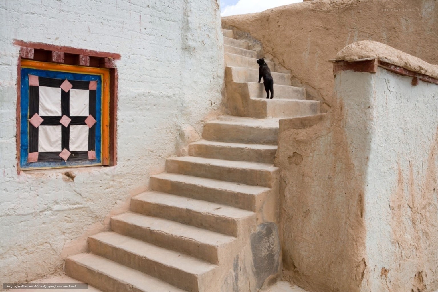 dog on stone stairs