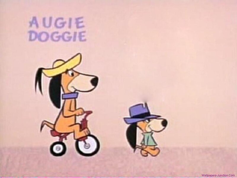 Dog on Tricycle