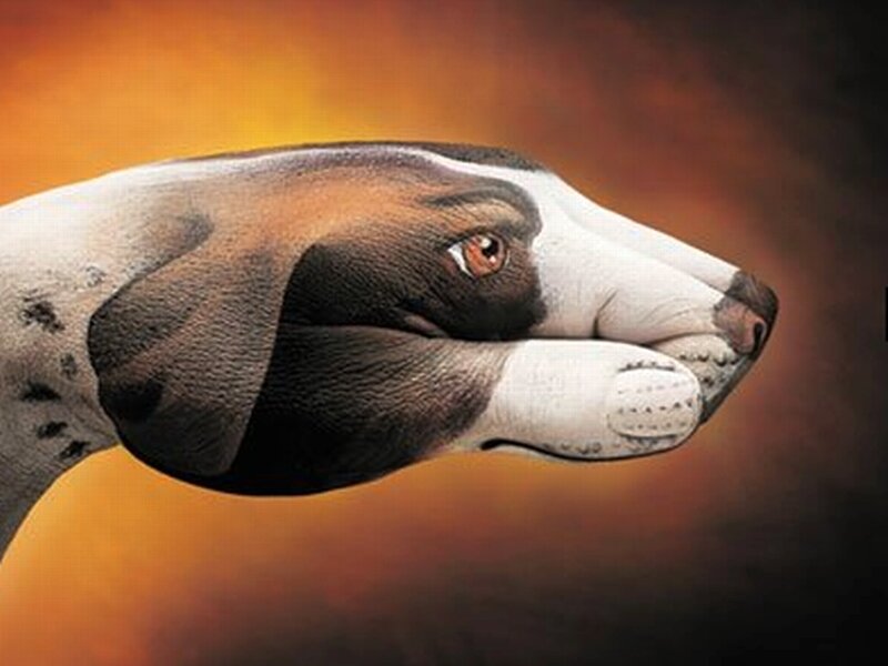 Dog Painted on Hand — Orange