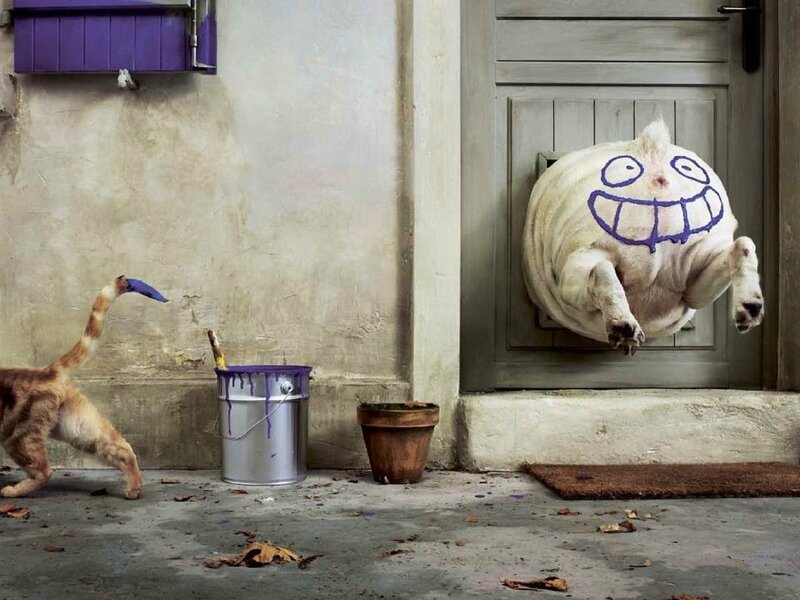dog painted with face on door
