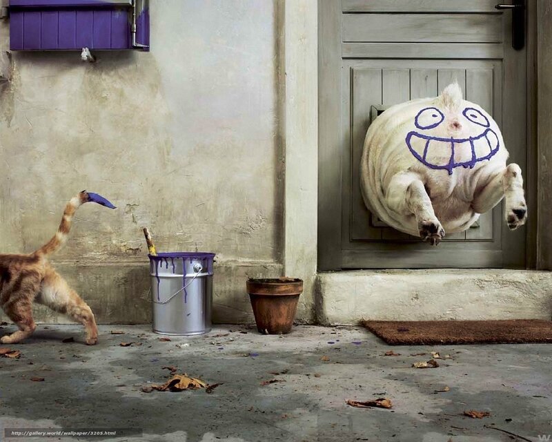 dog painted with face