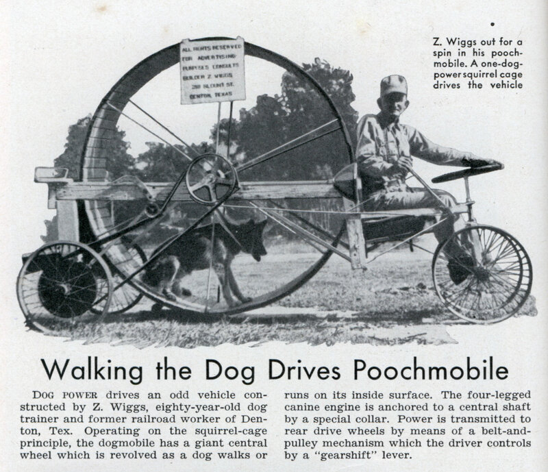 dog-powered vehicle