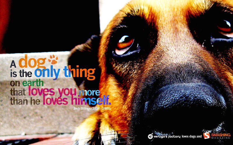 dog quote with close-up