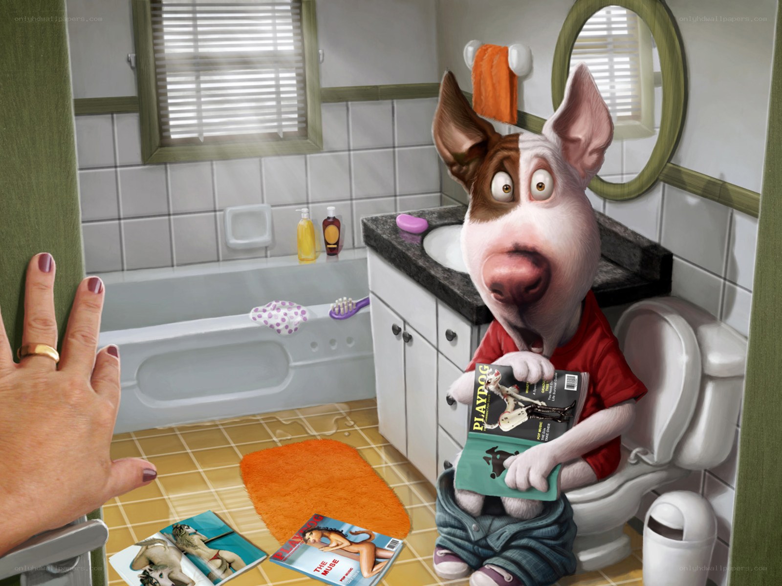 dog reading magazine in bathroom
