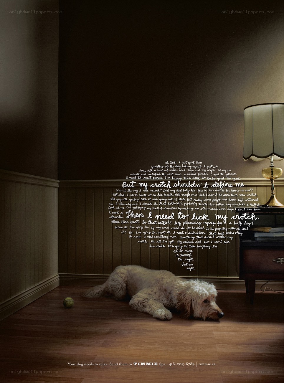 dog relaxation ad