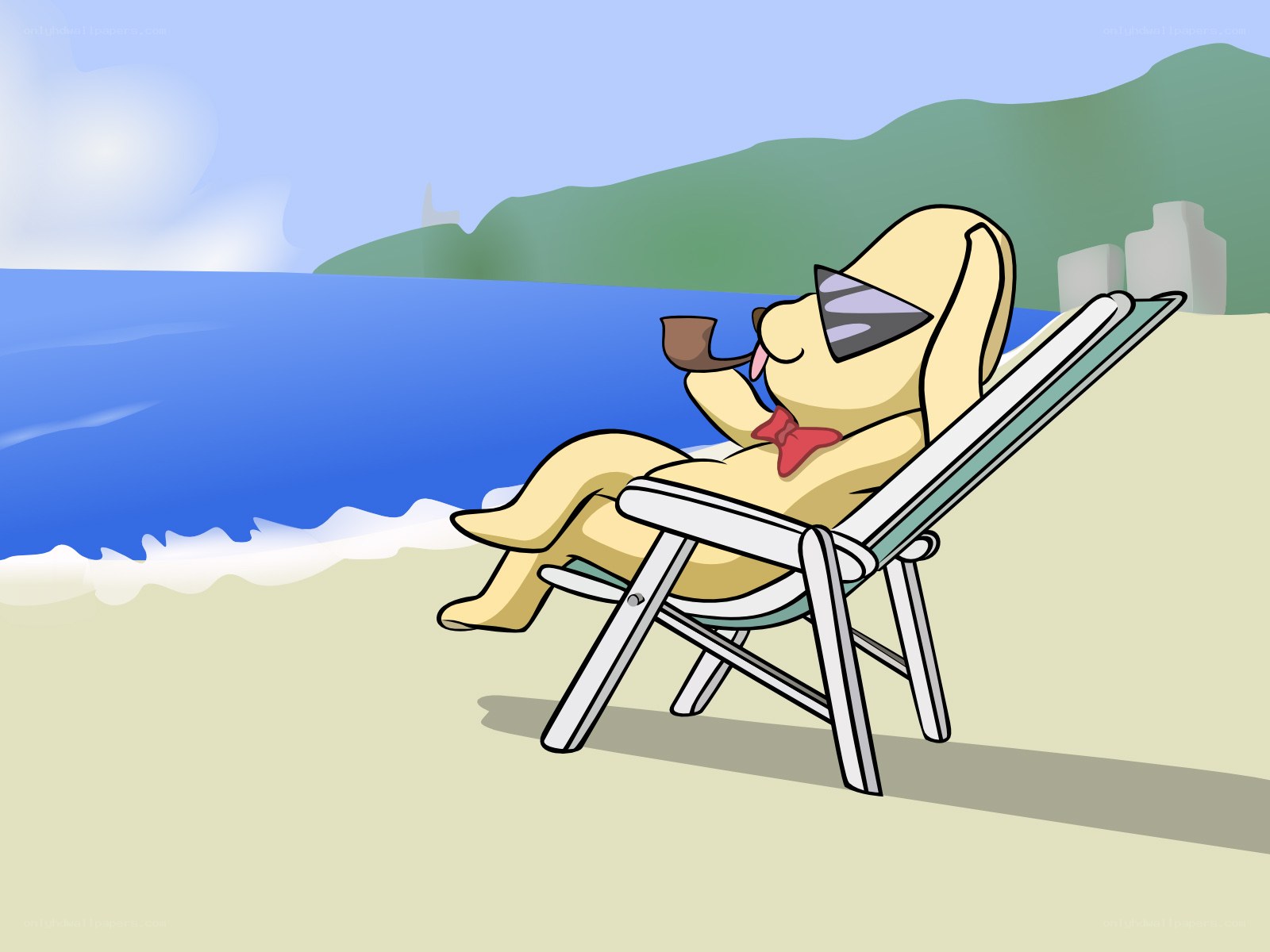 Dog relaxing on beach