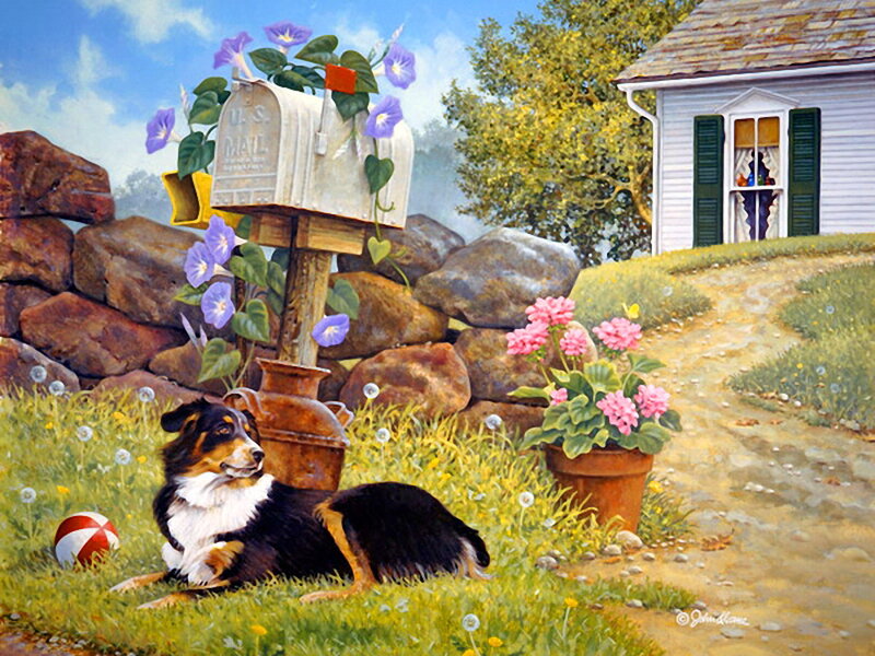 Dog Resting in Yard