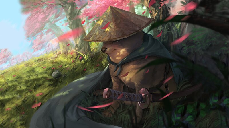 Dog Samurai in Cherry Blossoms