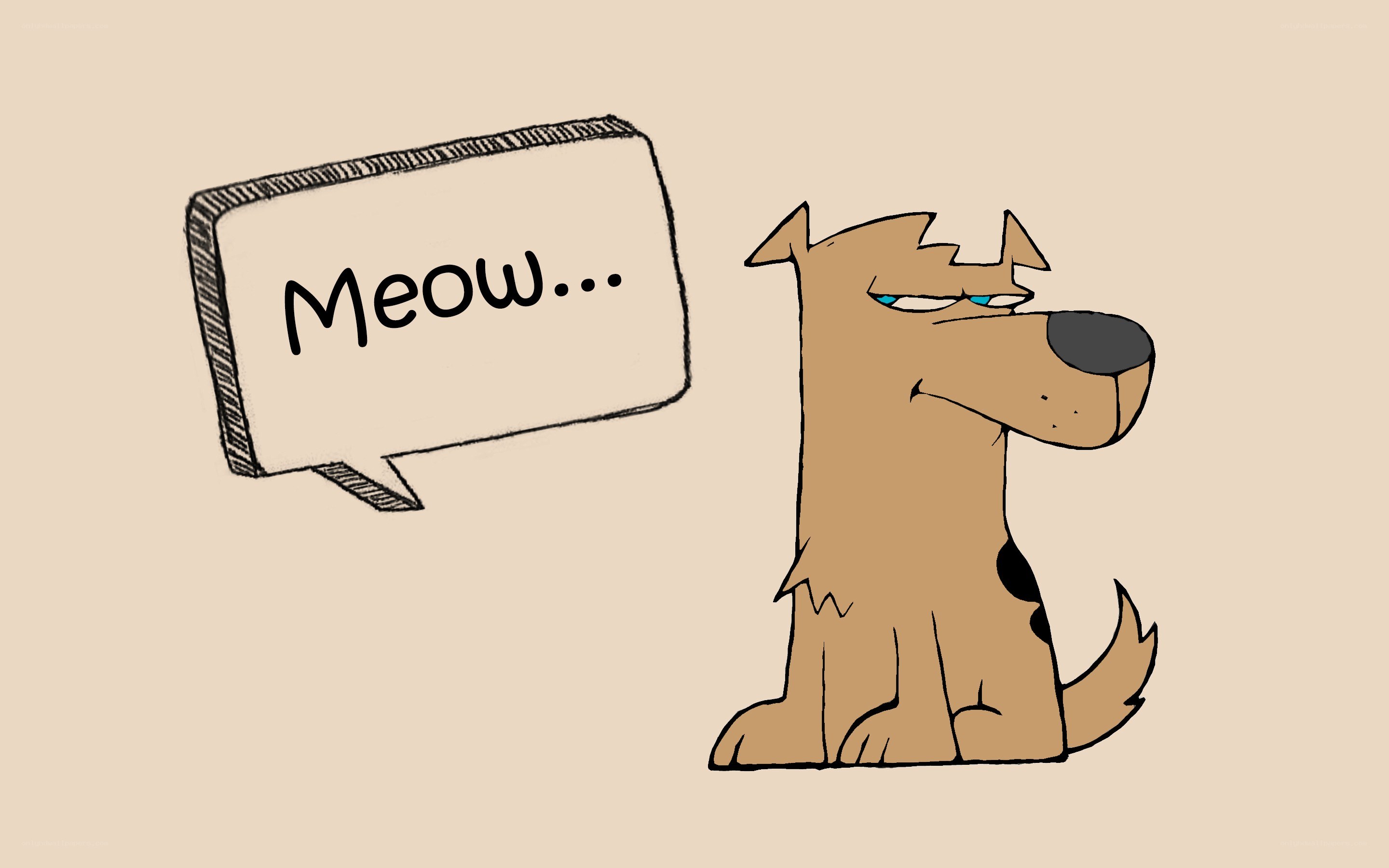 dog saying meow