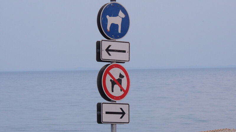 Dog Signs by Sea
