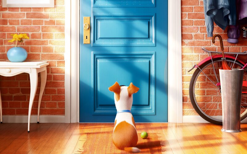Dog Sitting by Door — Blue