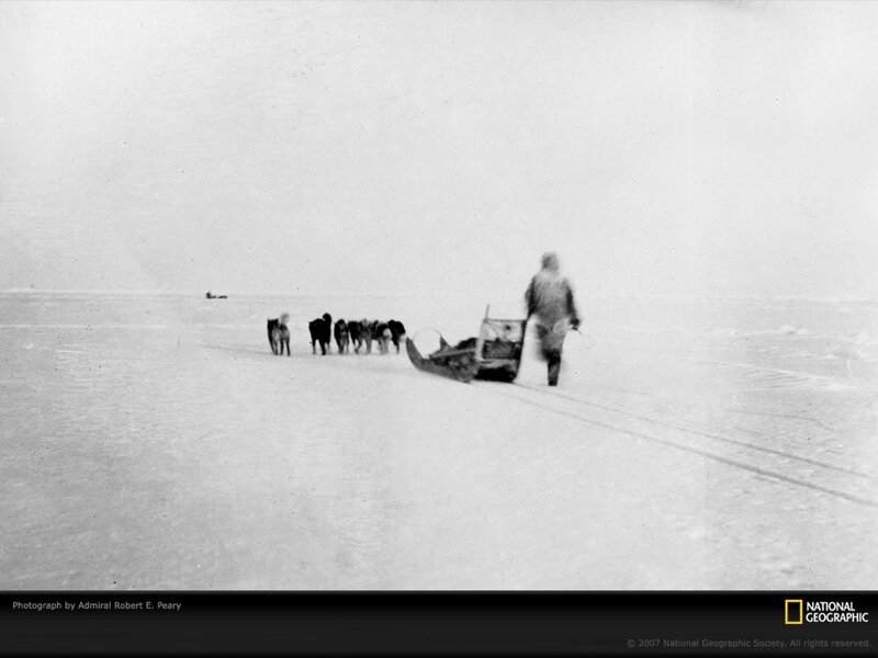 Dog sled expedition in snow