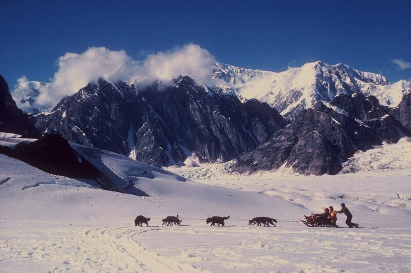 Dog Sled Team in Snow — White, Dramatic