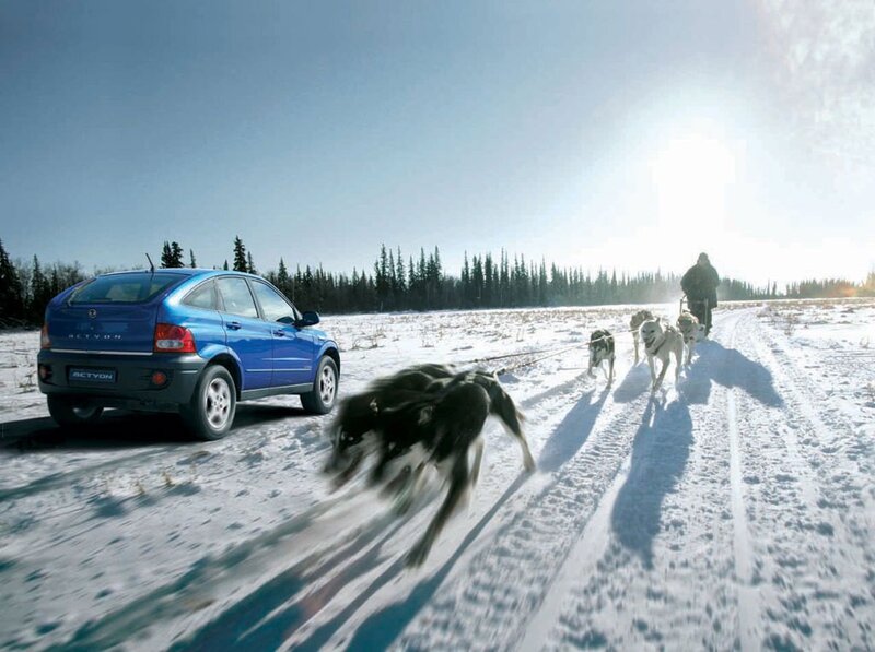 Dog sled team in snowy landscape