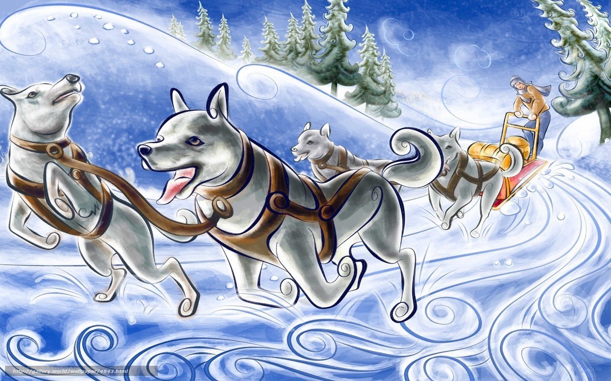 dog sled team in winter