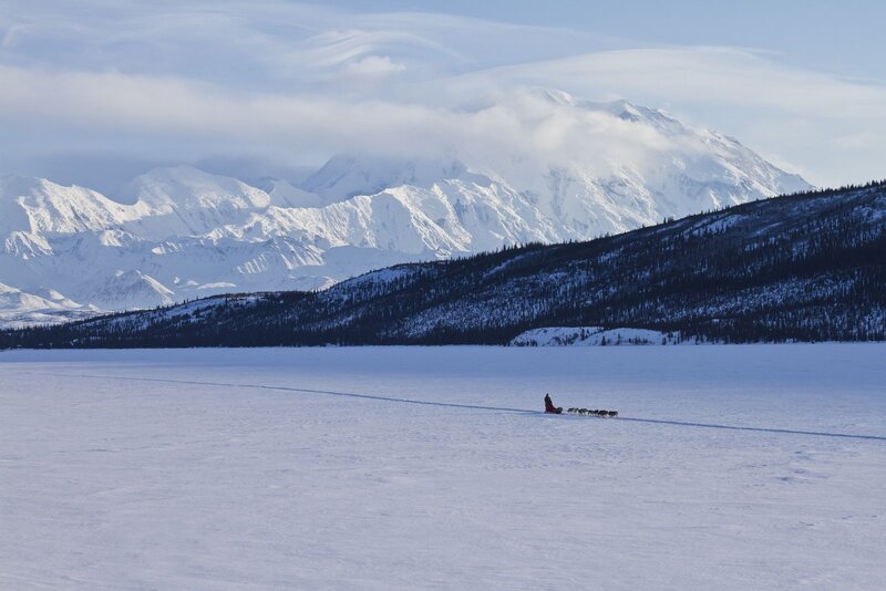 Dog Sled Team on Ice