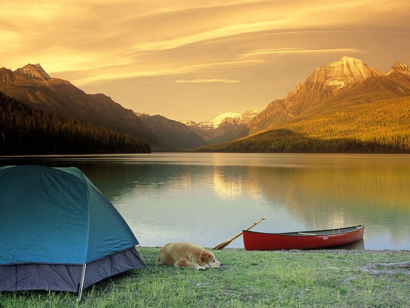 Dog Sleeping by Lake
