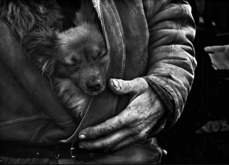 Dog Sleeping in Jacket