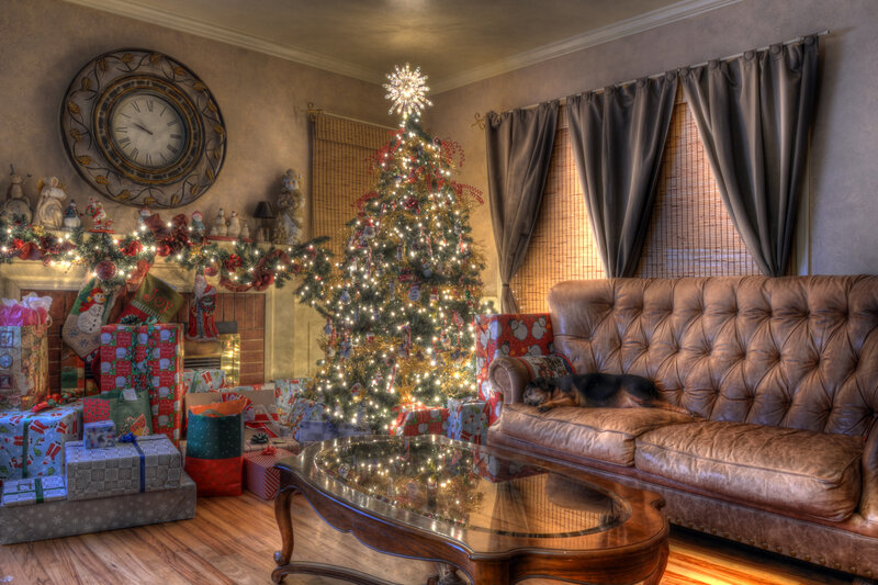 Dog Sleeping on Couch — Brown, Cozy