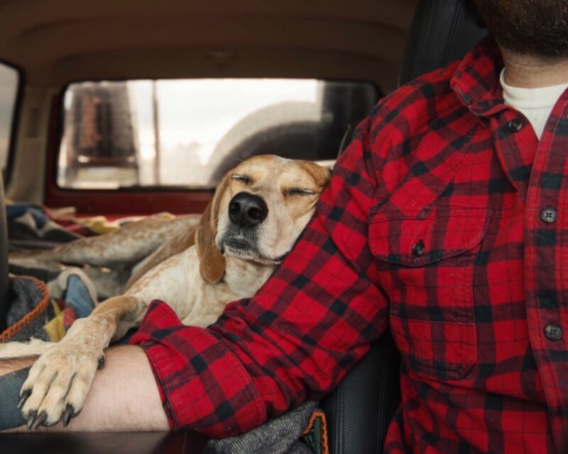 Dog Sleeping on Man