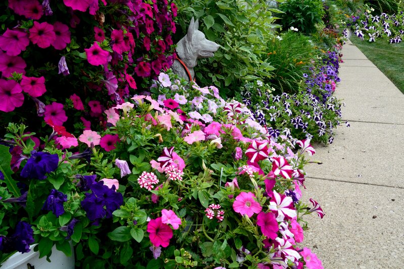 Dog Statue in Flower Bed