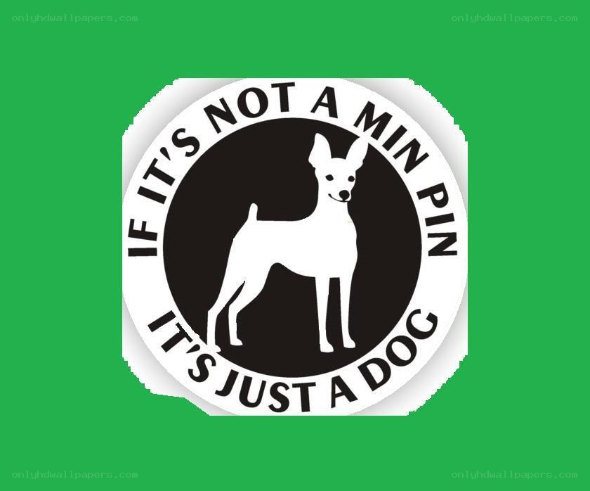 dog sticker with humorous text