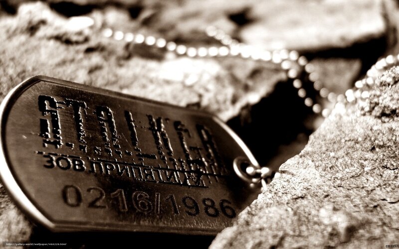 Dog Tag on Rocks
