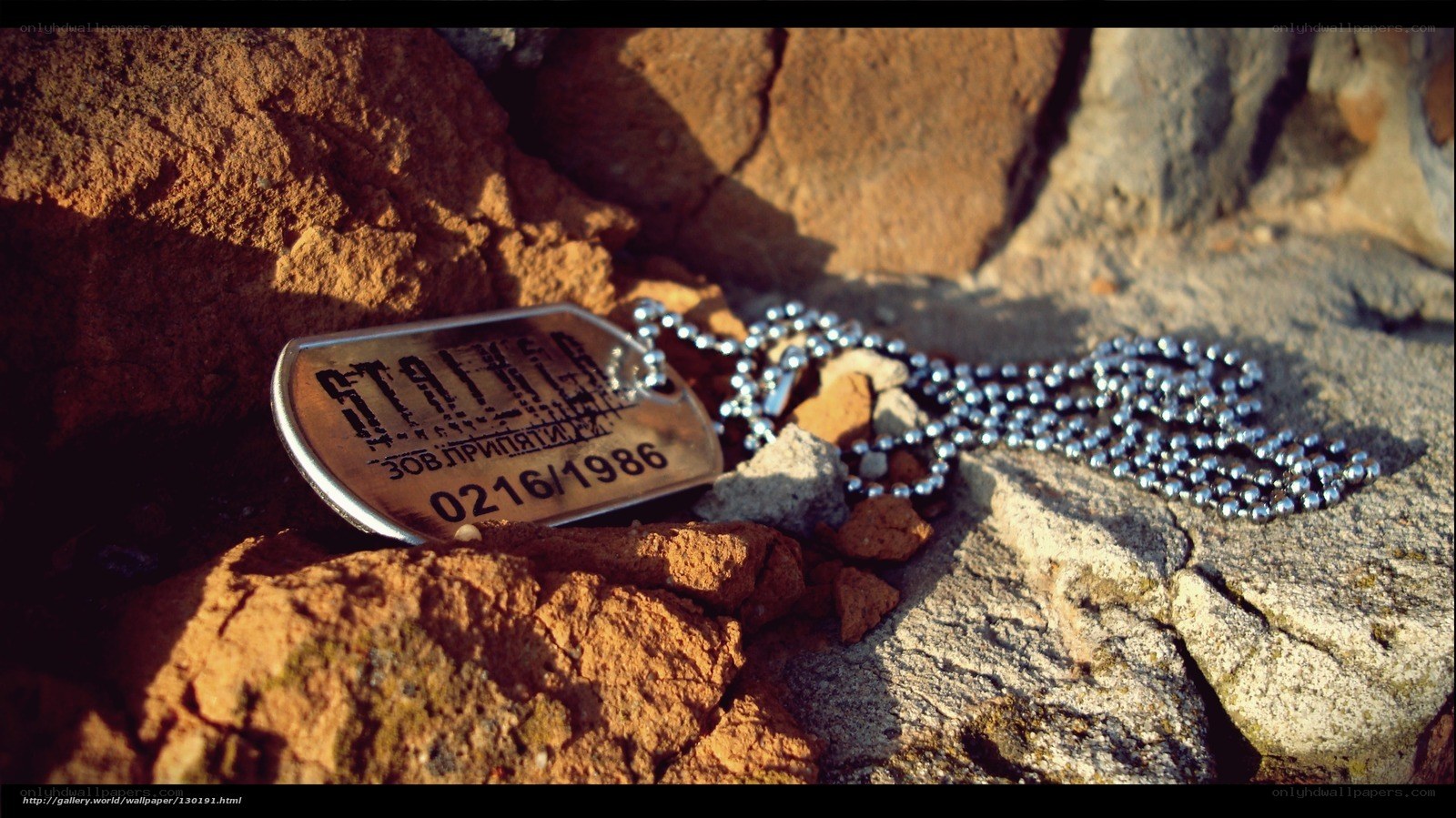 dog tag on rocky ground